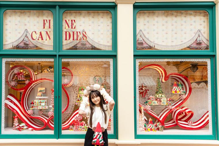 東京ディズニーランドクリスマスの楽しみ方