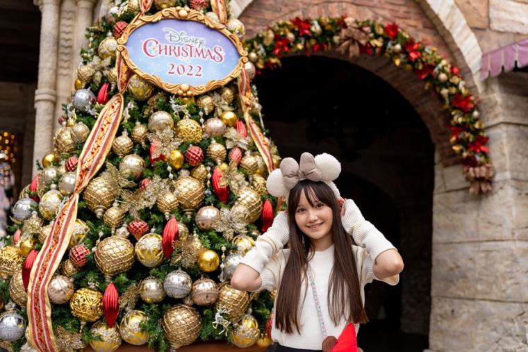 東京ディズニーシー　クリスマス