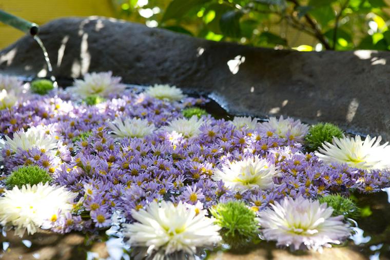 鳥取・皆生温泉「やど紫苑亭」