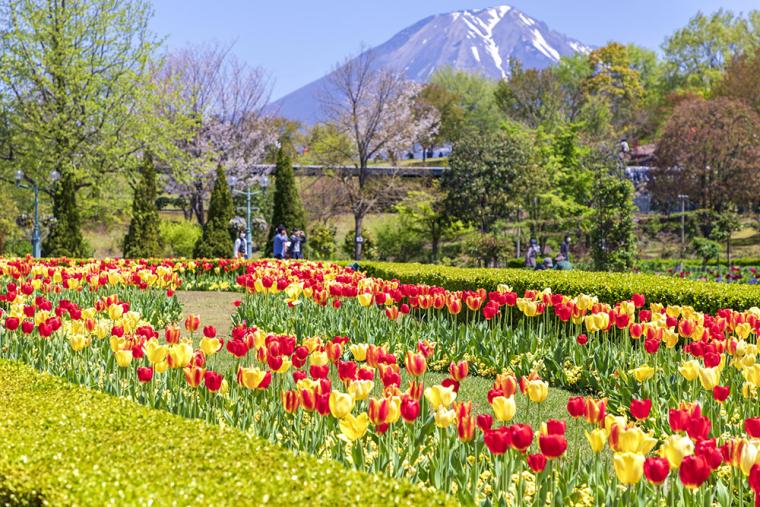 とっとり花回廊