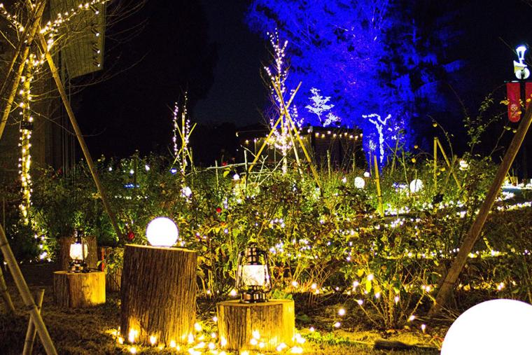 いばらきフラワーパーク　イルミネーション 2022「灯す ひかりとつながる夜」