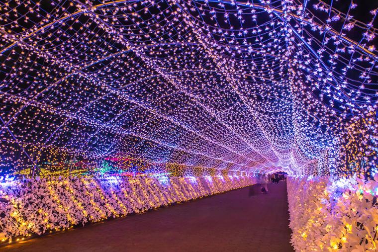 東京メガイルミ(大井競馬場)