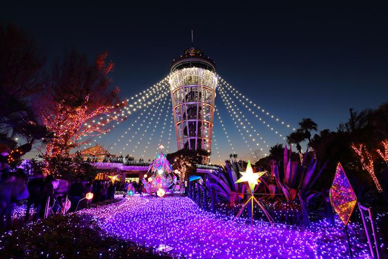 湘南の宝石～江の島を彩る光と色の祭典