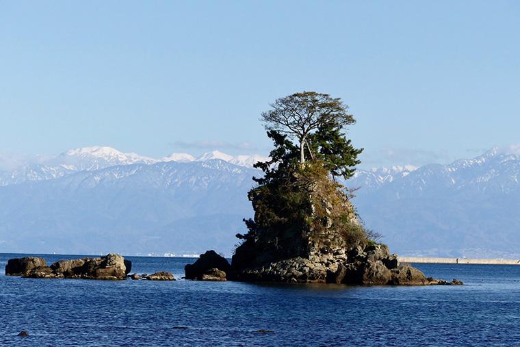 大呑ビレッジ 遊心庵