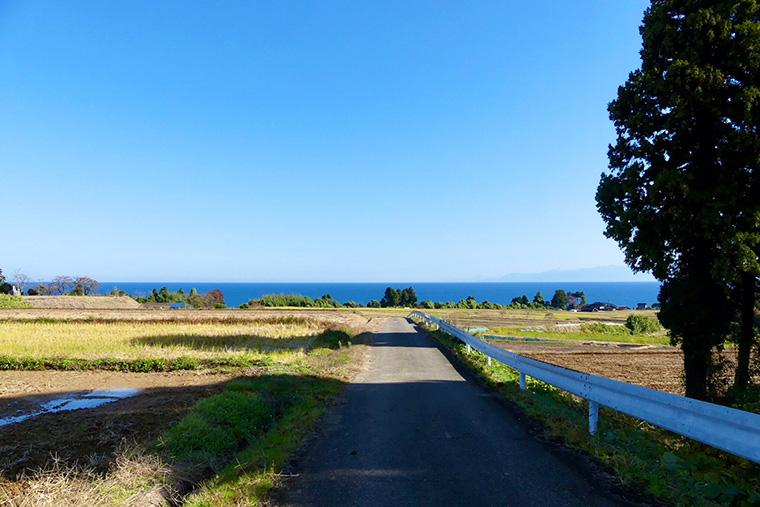 大呑ビレッジ 遊心庵
