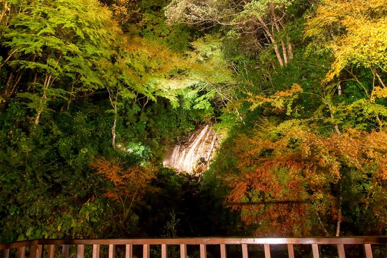 嬉野温泉 大正屋 椎葉山荘