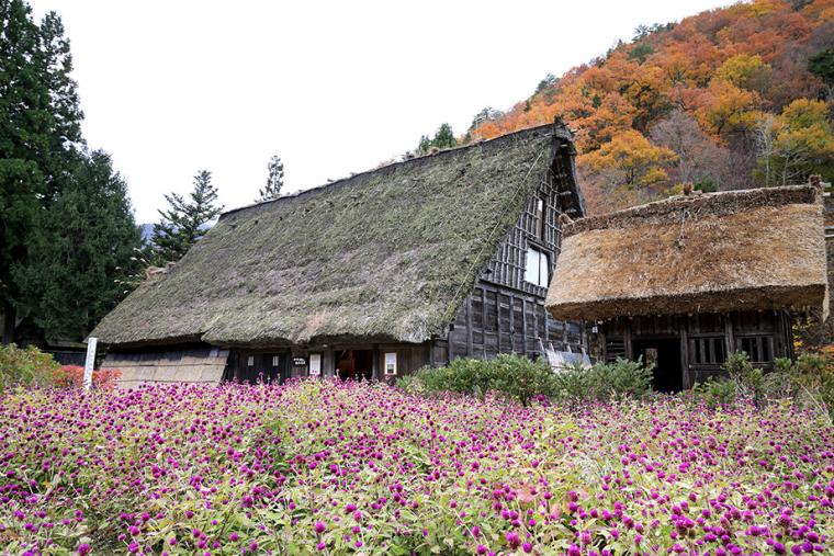 野外博物館 合掌造り民家園