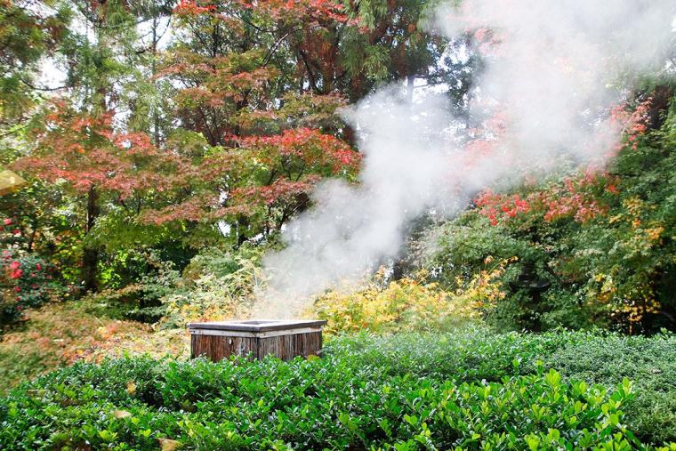 嬉野温泉 大正屋
