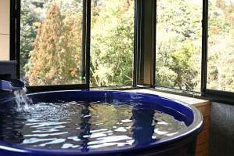 武田尾温泉 紅葉舘 別庭 あざれ