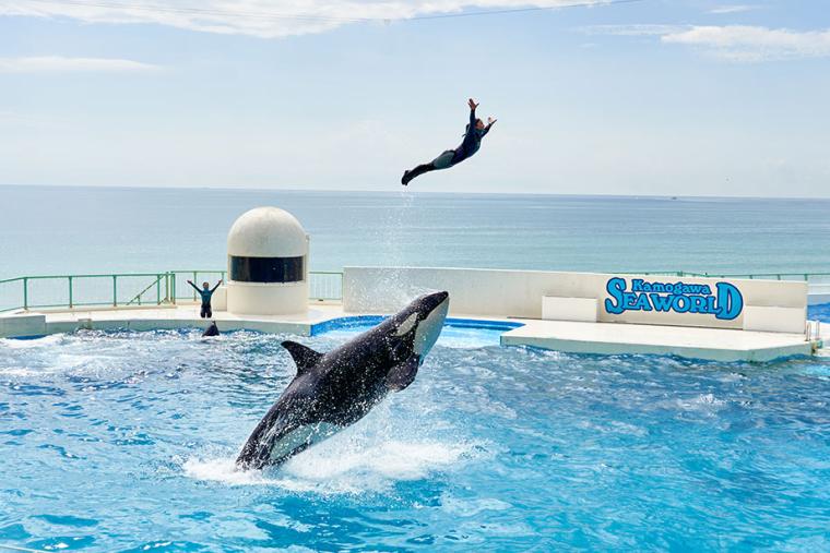 鴨川シーワールド