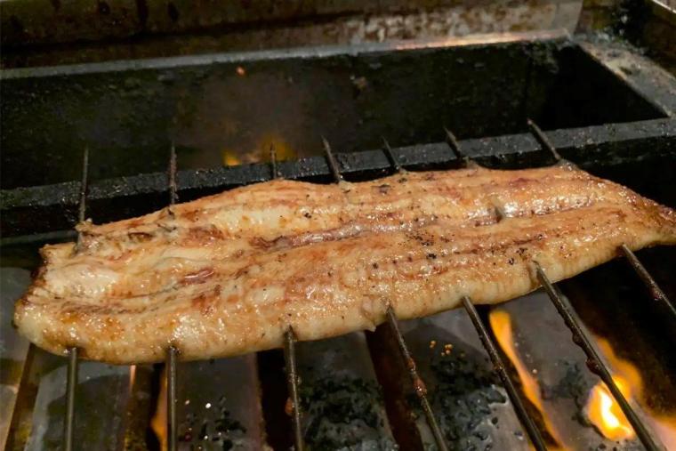 彩り料理 このは