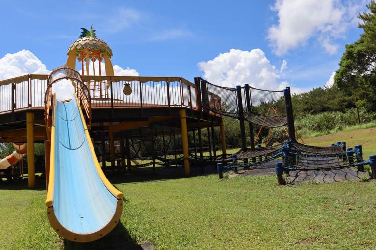 東村村民の森 つつじエコパーク