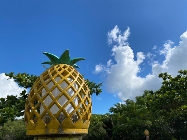 東村村民の森 つつじエコパーク