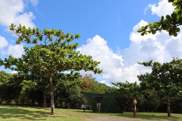 東村村民の森 つつじエコパーク