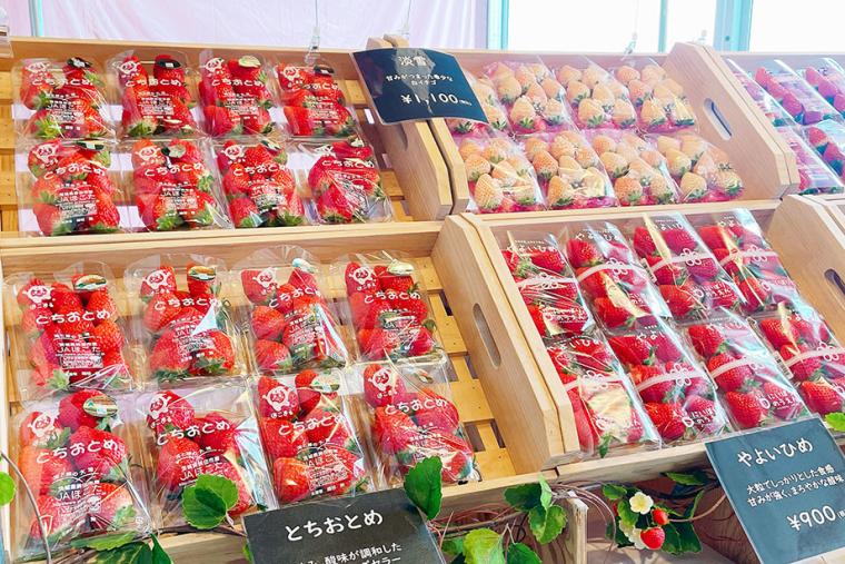 ヨコハマストロベリーフェスティバル2023