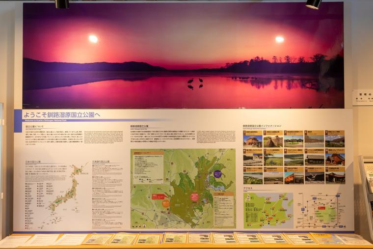 釧路湿原タンチョウヅル