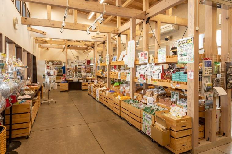 釧路湿原タンチョウヅル