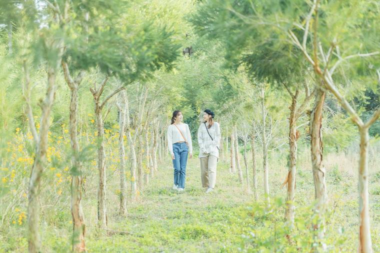 遺跡やハーブ園、酒蔵など、指宿ならでは体験ができるコンテンツをそろえています