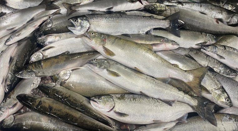 びわ湖一望で湖魚を堪能できる料理旅館「舟倉」が3月1日グランドオープン