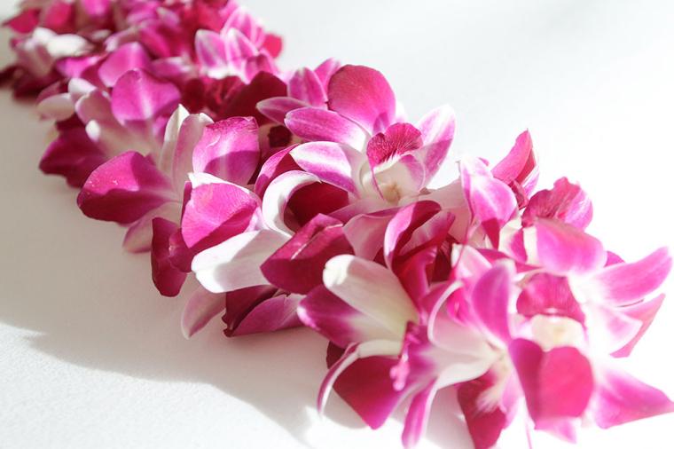 「ザ・リッツ・カールトン・レジデンス、ワイキキビーチ」ウェルカムレイ