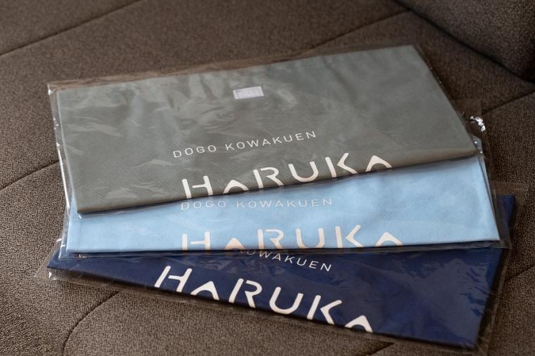 道後温泉を持続可能なまちへ。先陣を切って生まれ変わった環境型ホテル【ホテル古湧園 遥】