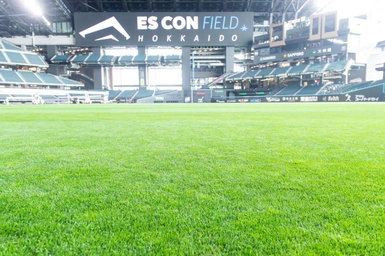 北海道ボールパークFビレッジ