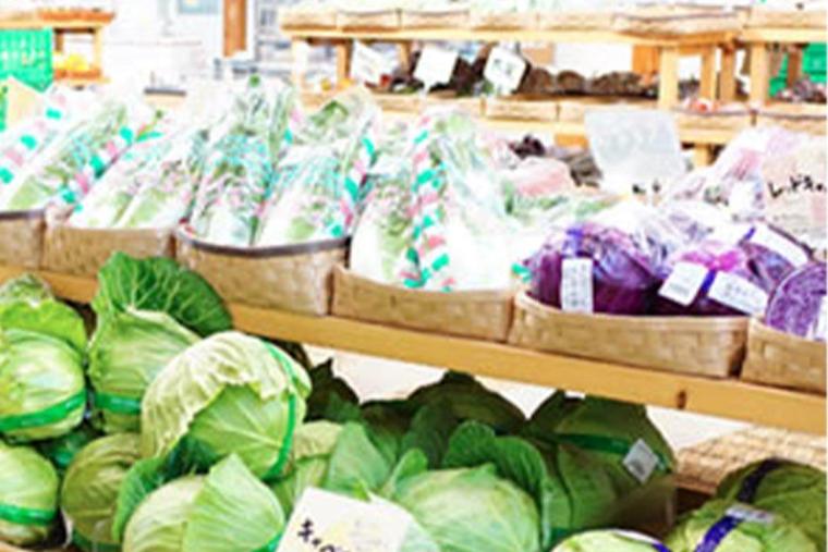 北海道ボールパークFビレッジ