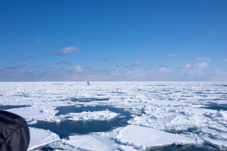 ガリンコ号とオホーツクタワー