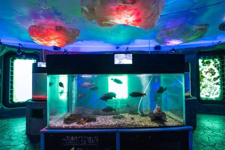 ガリンコ号とオホーツクタワー