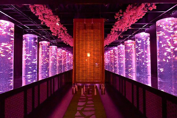 アートアクアリウム美術館 GINZA