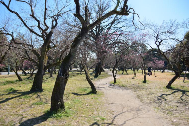 京都ブライトンホテル