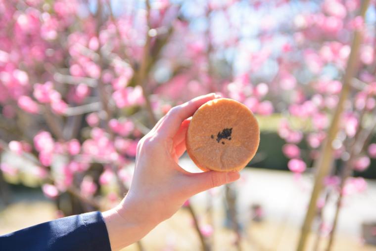 京都ブライトンホテル