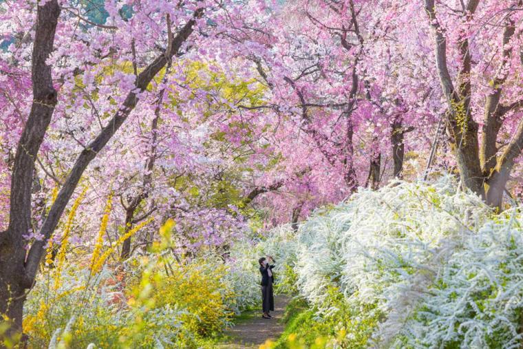 京都ブライトンホテル
