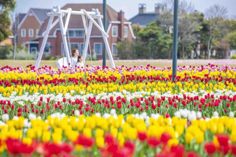 ハウステンボス　100万本のチューリップ祭