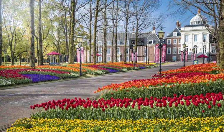 パレス ハウステンボス　チューリップ祭