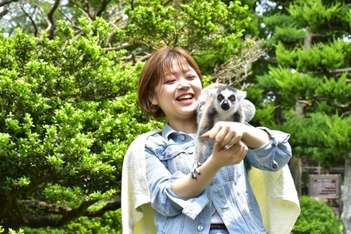 隣接する「伊豆シャボテン動物公園」