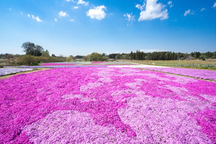 富田さとにわ耕園（富田都市農業交流センター）