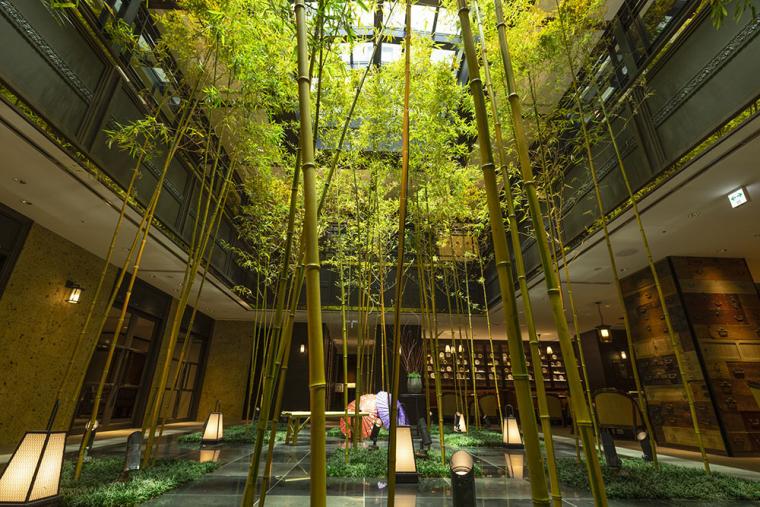 「ダーワ・悠洛 京都」竹林