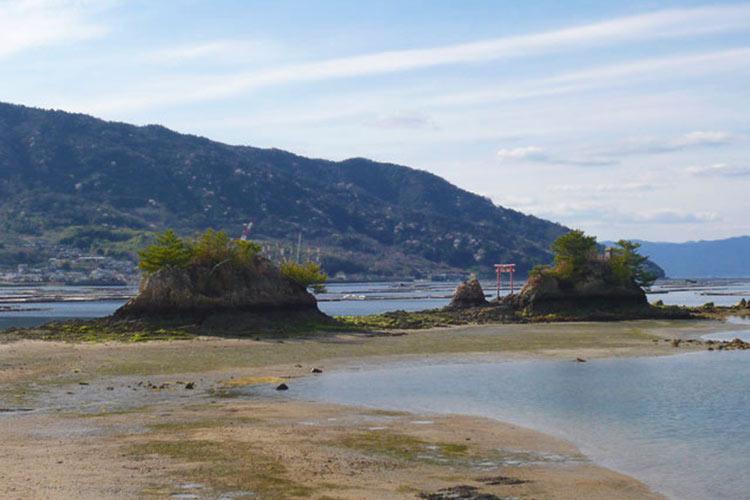 ネイビーロード