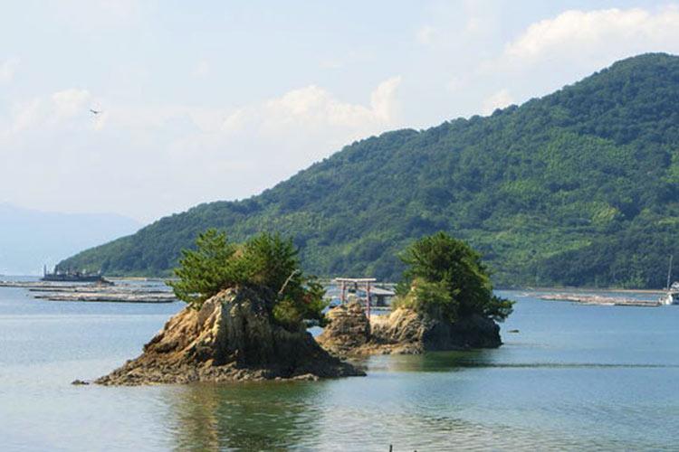 ネイビーロード