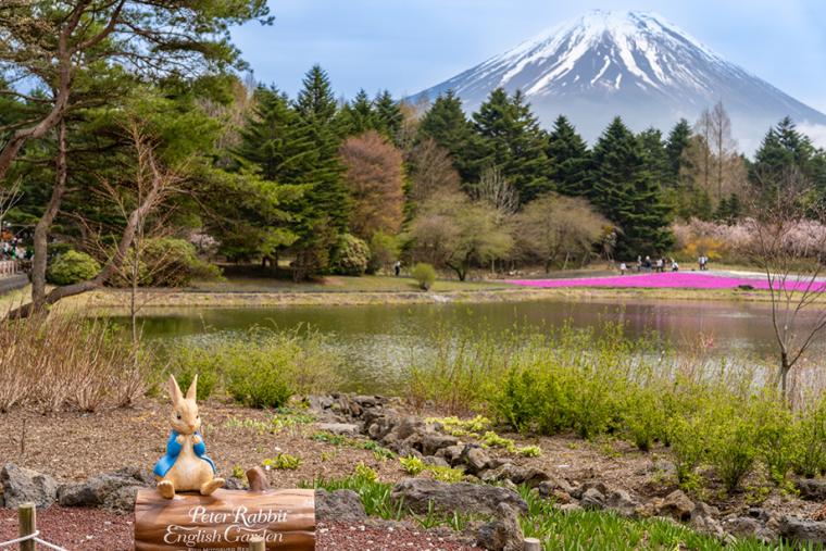 富士芝桜まつり