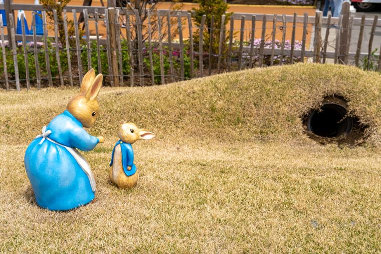 富士芝桜まつり