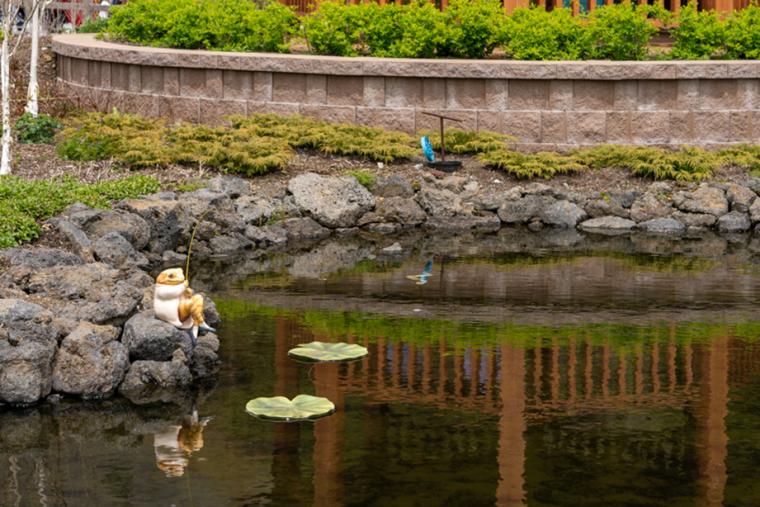富士芝桜まつり
