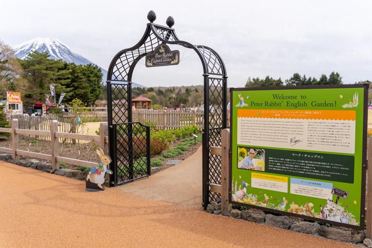富士芝桜まつり