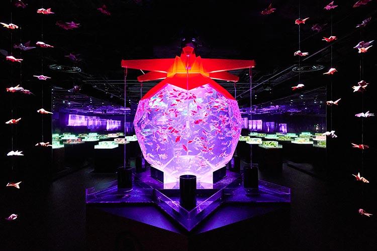 アートアクアリウム美術館 GINZA