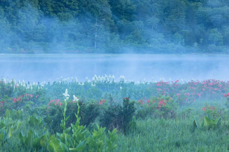 八幡平大沼