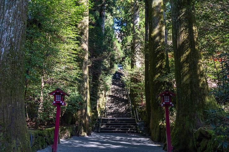 箱根ロープウェイ「cu―mo箱根」