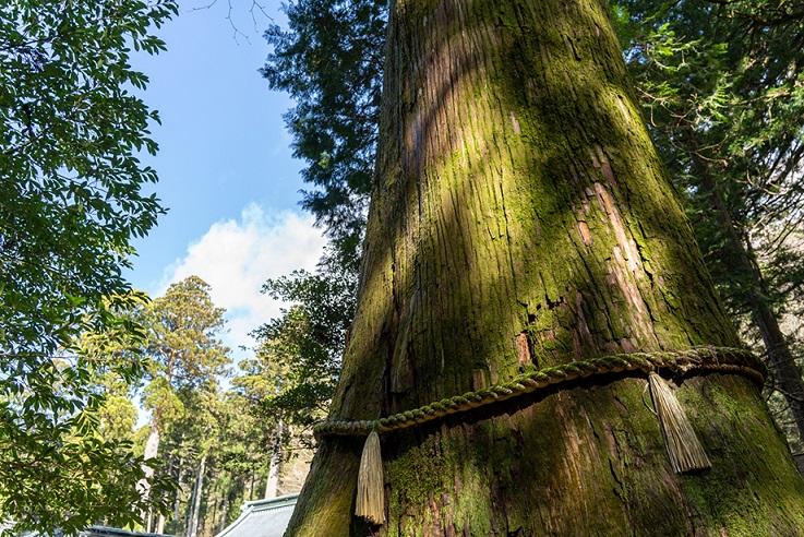 箱根ロープウェイ「cu―mo箱根」