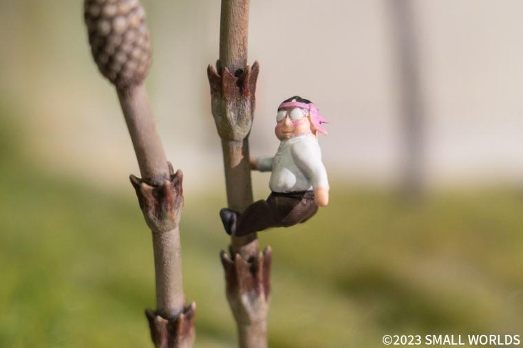 アジア最大級「ミニチュアミュージアム スモールワールズ」がリニューアル