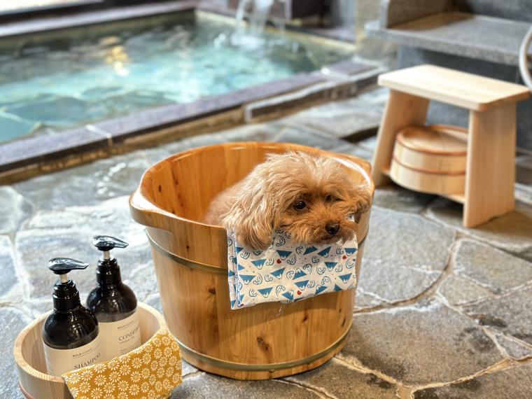 愛犬と一緒に伊豆高原温泉を楽しめる貸切温泉